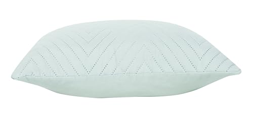 Image of RD TREND UltraSonic Microfiber Cushion Covers, 60 x 60 cm /24 x 24 inches, Set of 5, 250 TC,Back Zipper (Peista Green)