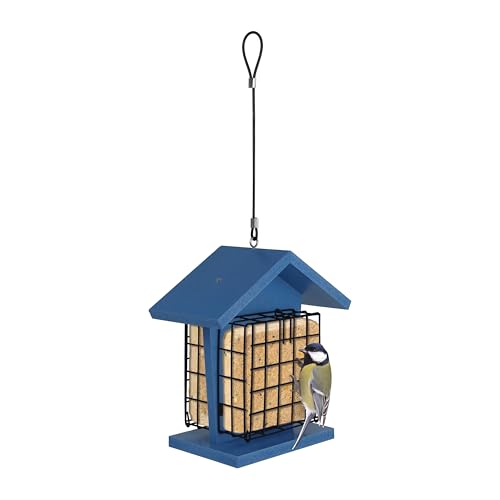 EcoCycle Suet Snacker Recycled Plastic Bird Feeder for Woodpeckers, Outdoor Wild Bird Feeder and Décor, 2 Cake Capacity, Blue
