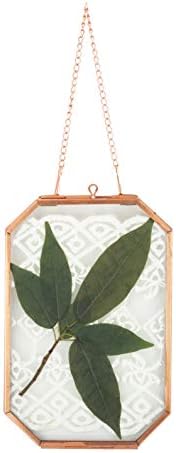 NCYP Wall Hanging 4X6 Inches Octagon Rose Gold Glass Frame for Pressed Dried Flowers, Handmade Double Glass Pure Copper Herbarium Frame, Floating Frame Style, Glass Frame Only