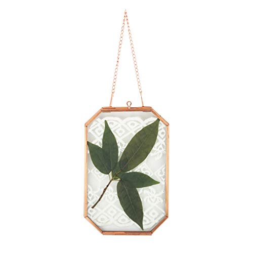 Ncyp Wall Hanging 4X6 Inches Octagon Rose Gold Glass Frame For Pressed Dried Flowers, Handmade Double Glass Pure Copper Herbarium Frame, Floating Frame Style, Glass Frame Only #TOP3