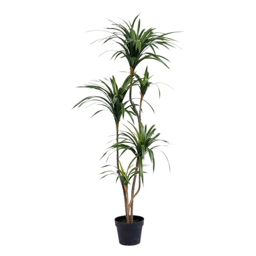 lHhSubhc[AAȃtFCNhSubhc[AAAAAItBXArO[AAVzj̃MtgɍœK(130cm/51in,Green)