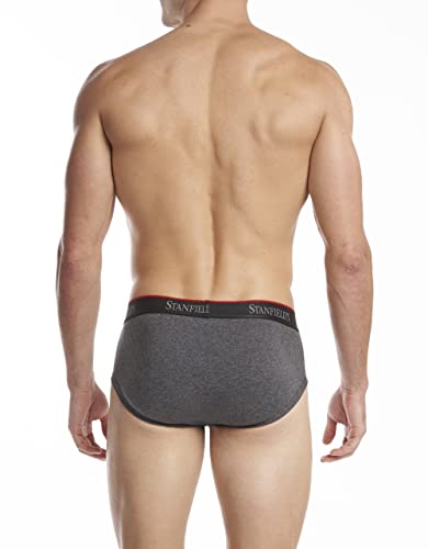 Stanfield's Men's Cotton Stretch 3-pk Brief3