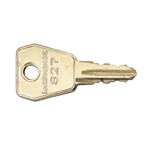 Replacement DEWHURST 827 Key for Electrical Switches | Lifts & Elevators, Forklifts, Directional Switches, Switchgear & Plant Equipment, Fire Alarm Control Panels & More | Eurolocks, EMKA & BKG