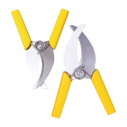Toyvian Tijeras Manuales para Podar y Anillar Árboles Frutales, 2 Piezas Acero Inoxidable Mango Amarillo, Herramienta para Jardineros y Trabajos en Huertos