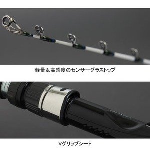 Amazon | ダイワ(DAIWA) 船竿 ディーオ TSG 100-170 釣り竿 | ダイワ