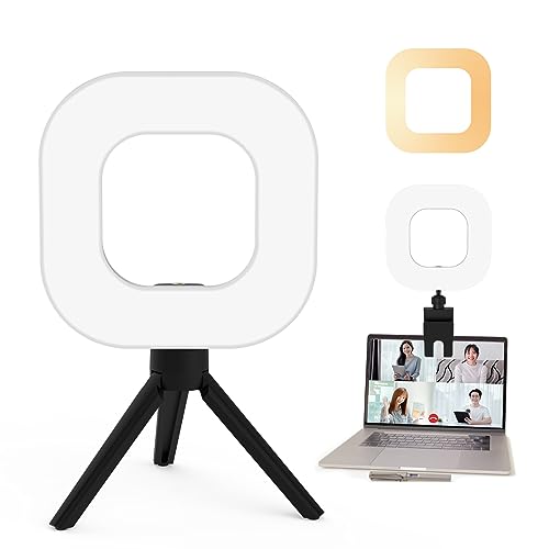 Mycket Video Conference Lighting Kit, Led Ring Light Clip on Laptop Monitor with 5 Dimmable Color & 10 Brightness Level for Remote Working/Webcam/Zoom Lighting/Self Broadcasting and Live Streaming