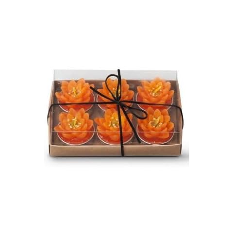Bougies chauffe-plat Copenhagen fleur de lotus Cover