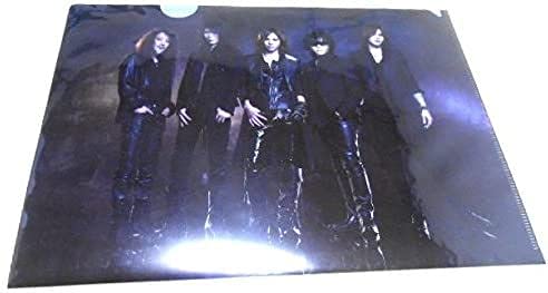 Amazon.co.jp: X JAPAN 公式グッズ LUNATIC FEST（ルナフェス