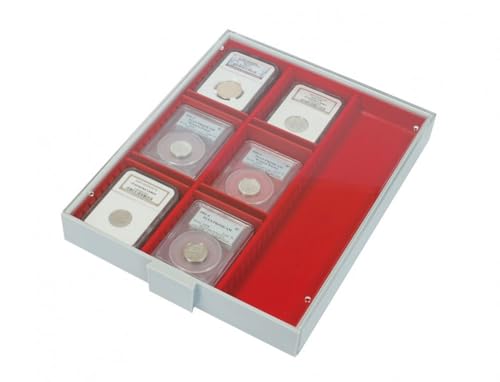 Bandeja de coleccion Standard LINDNER con 3 casilleros ajustables gris para vitrinas