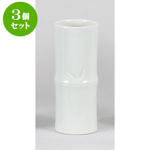 3Zbg  |10 [12.6 x 30.7cm]  _ {  d ~ ފ