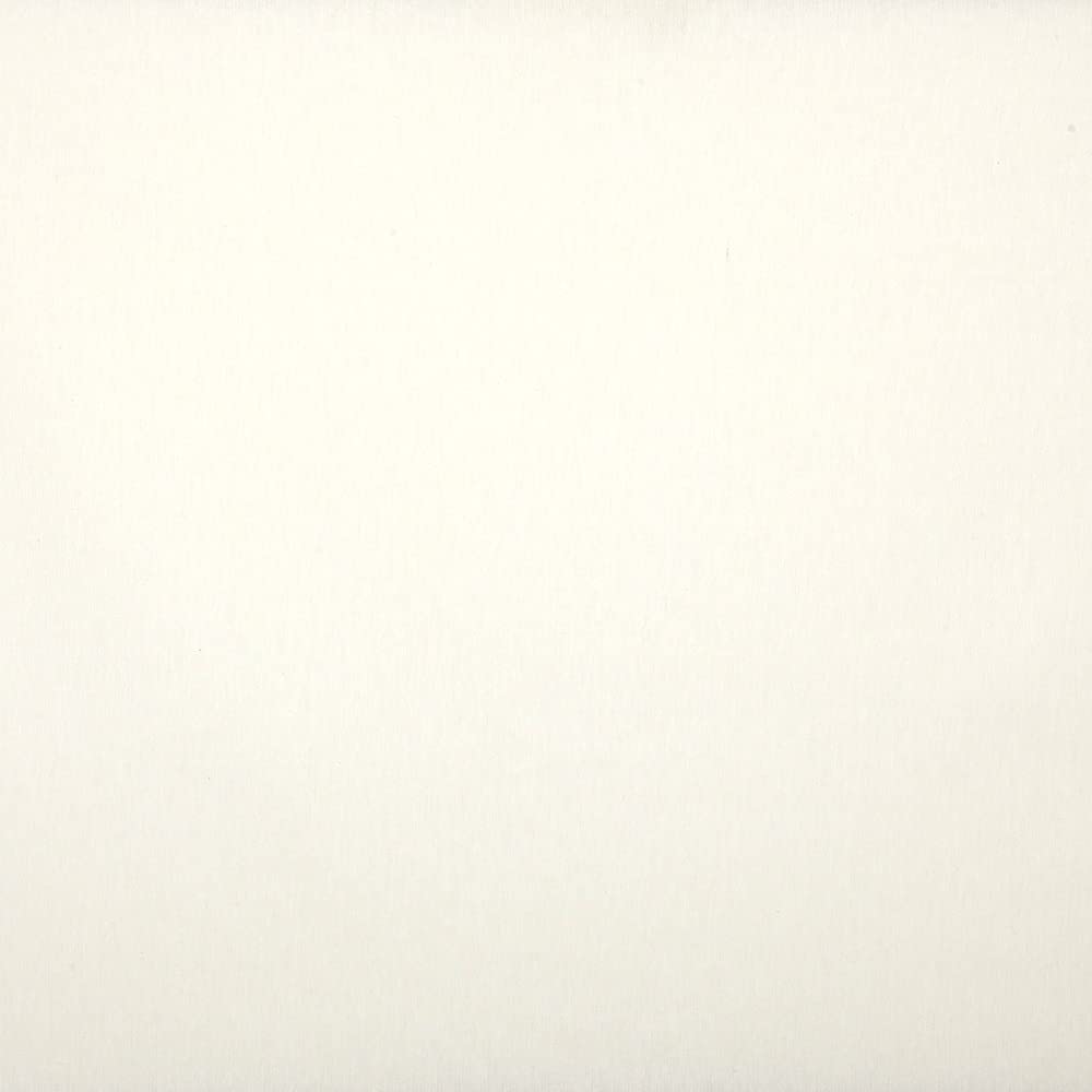 Kt KILOtela - Glasilla-stof, canvas katoen, patroon, voering, tassen, knutselen, schilderen, stempelen, 300 cm lengte x 280 cm breedte, beige, ecru, 3 meter