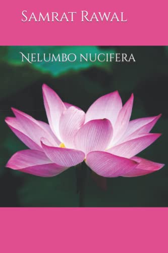 Nelumbo nucifera