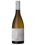 Terre d'Abruzzo IGT Pecorino Calafiori Cantine Truentum 2025, 0,75 ℓ