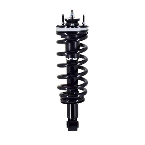 PM Auto Front Quick Complete Strut and Coil Spring For ...
