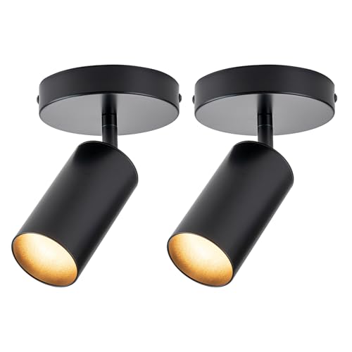 Zicbol LED Spotlight Indoor 2 Pack Black Ceiling Spotlight Fixtures Adjustable 90° Anti-Glare Spot Lights, Ideal for Living Room, Paintings, Wall Art and Artwork, Warm White 3000K