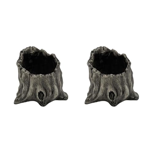 Pot de fleurs en bois flotté pour cactus, succulentes et décorations en bois de table - 5
