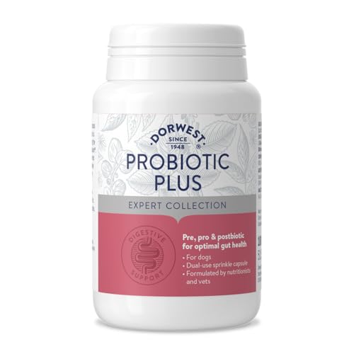 Dorwest Herbs Probiotic Plus for Dogs 100 Capsules Pre Pro and Postbiotic with Daily Microbiome Support for Optimal Gut Health
