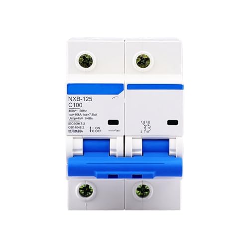Disjoncteur miniature NXB-125 2P C100 modulaire bipolaire 100 ampères