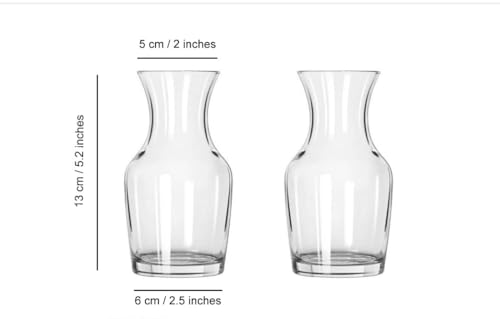 Image of Aradhya Enterprises Beautiful Transparent Bootle Shape Glass Pots for Flowers and Plants Plant Container Set 2 (Bottle Pack 2)
