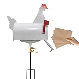Cassetta delle lettere di pollo - Cassetta delle lettere in ferro creativa