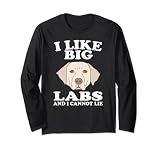 J'aime les grands laboratoires et je ne peux pas mentir amoureux des chiens du Labrador Manche Longue