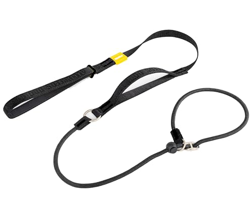 TRICESS Slip Lead Training Leash