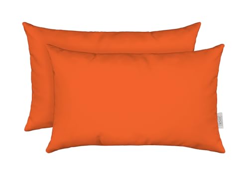 RSH DECOR: Sunbrella Lumbar Throw Pillows Set of 2 | 20
