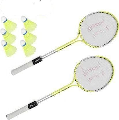 VINOX Badminton-Racket, Set of with Feather Shuttles, 6 Pieces Combo (B09GS1V4G2) Amazon Price History, Amazon Price Tracker