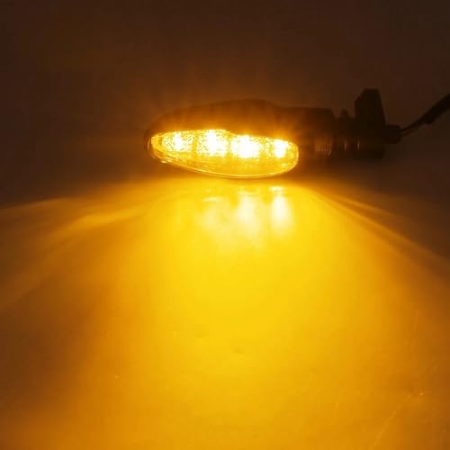 Clignotant de moto LED ambre 12V avec indicateurs de direction Tiger