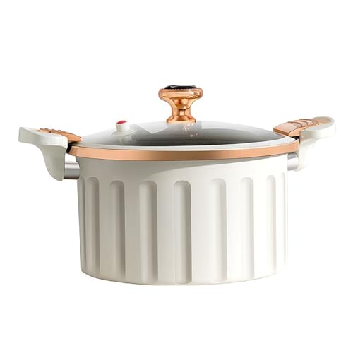 YLFFFZZZ Olla de Presion Olla de Presion - Olla a presión antiadherente con revestimiento esmaltado, olla a presión antiadherente con tapa, sello de silicona, olla a presión a prueba de derrames