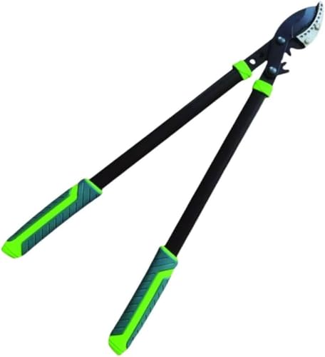 IWEJ Yf|n|oT~ ͌^}؂ ZiKLk}؂oT~ 荞ݗp| EE؂̙p|pi (OpǎMAN180°sJ})