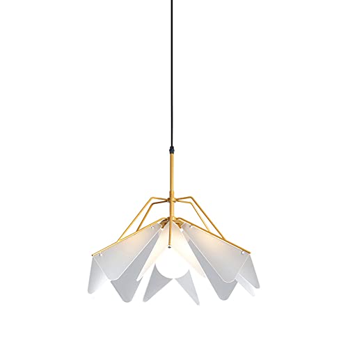 Lustre personnalité réglable pour corriger la hauteur sous plafond