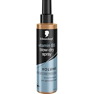 Schwarzkopf Styling Vitamin B5 Blow-Dry Hair Spray, Volume and Shine, 24hr hold, 100°C heat protectant spray, 200ml, Pack of 1
