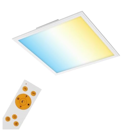 ERWEY LED Deckenlampe 45CM 85V-265V Deckenleuchte Kaltweiß Designleuchte Wand-Deckenleuchte IP44 Wohnzimmer Badezimmer Kinderzimmer geeignet (Kaltweiß Ultraslim, 45x45CM 36W) 5 Briloner Leuchten LED Panel, Deckenleuchte dimmbar, Deckenlampe Fernbedienung, inkl. Farbtemperatursteuerung, 2.400 Lumen, Weiß, 45x45 cm, 24 W