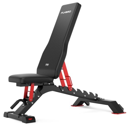 FLYBIRD WB7 Commercial