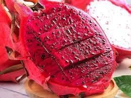 Image of Hybrid Red Dragon fruit live Plant (Pack of 1) Red Skin Plant for Home Garden