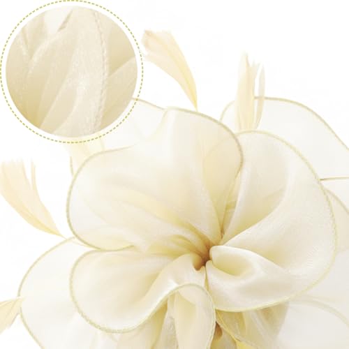 Image of DRESHOW Fascinators Hat Tea Party Headwear Ribbons Feathers on a Headband and a Clip for Women