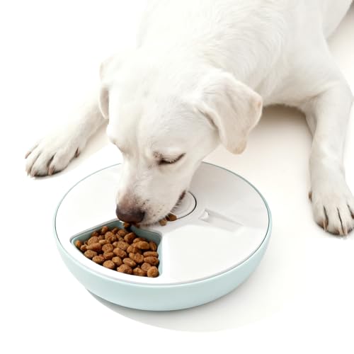 Mangiatoia automatica automatica per gatti, cibo umido per gatti, con timer digitale e 6 ciotole, mangiatoia per cani, 6 pasti, alimentato a batteria per gatti, cani di piccola taglia (bianco)