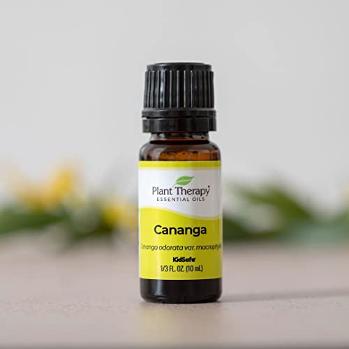 Aceite Esencial Cananga Plant Therapy 10 mL miniatura 5