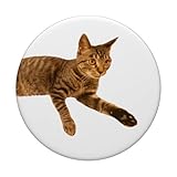 Zoom IMG-2 tigre come gatto popsockets popgrip