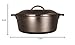 Lodge 7-Quart Cast Iron Dutch Oven – Made in USA, Pre-Seasoned, PFAS-Free & Non-Toxic, Heat-Treated, Induction Compatible, Self-Basting Lid, Durable Multi-Use Cooking Pot for Oven to Table