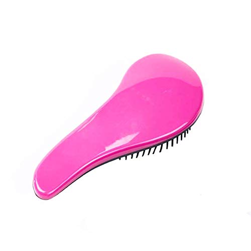 Detangling Hair Brush for All Types of Hair Professional Detangler Brush for Adults & Children (Rose)