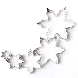 Snowflake Cutter Set - Frozen Snowflake Shaped Stainless Steel Mold Cookie Cutter for Fondant and Cookies - 5 Different Sizes - Great for Christmas and Winter Holiday