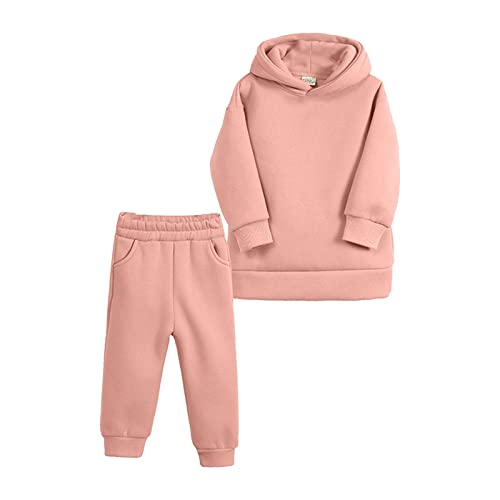Kids Toddler Baby Girls Boys Autumn Winter Warm Thick Solid Cotton Long Sleeve Lined Tops Hooded Youth Boy Sweat Outfits