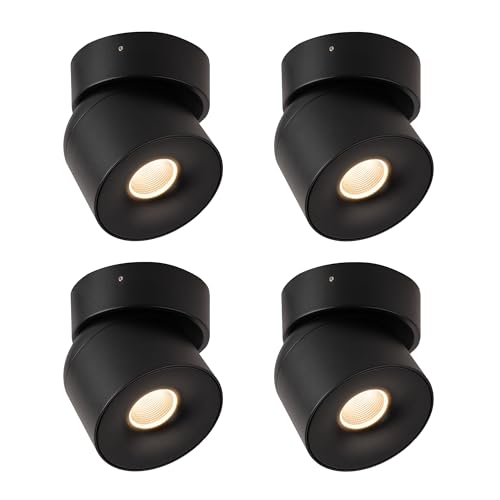 Image of Aisilan 15W LED Dimmable Ceiling Spotlight, Adjustable Directional Surface Flush Mount Lighting, Wall Spot Lights Indoor Accent Fixture for Art Picture Gallery Paintings, 3000K, Black