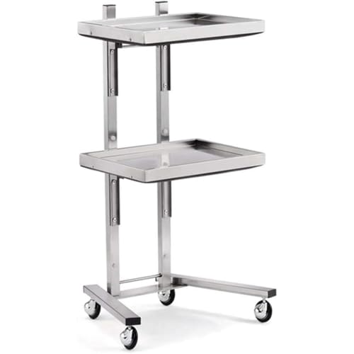 ULOVEJOY 美容車用カート 折りたたみ 美容室ワゴン キャスター付き キッチンワゴン ラック コンパクト収納 取っ手付き 防水 ステンレス製 トレイ 医療用カート収納 移動便利 理容師 理髪店 理容室 (シルバー)