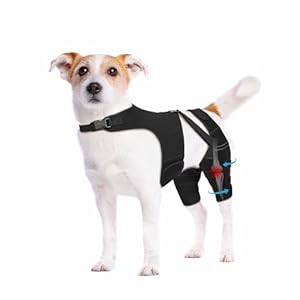 Dog Knee Brace for Torn ACL Hind Leg, Adjustable Dog Leg Braces for Back Leg with 4 Metal Stabilizers Helps with Torn CCL, Luxating Patella, Ligament Injuries, Hip Dysplasia, S