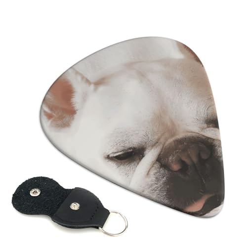 16(1) 킢GLM^[sbN S҃gCAOsbN 6 Zbg 0.71mm