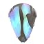 Clear iruidium