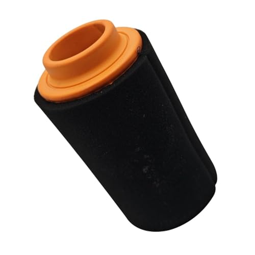Filtre à air Snarler AT5L EPS haute durabilité OEM A10A23300000000
